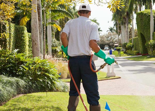 About Newton TX Pest Control